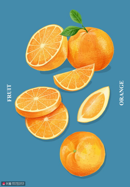 彩色手绘切片果肉多汁橘子水果插画 食品插画 美味水果 食品插画 美味水果