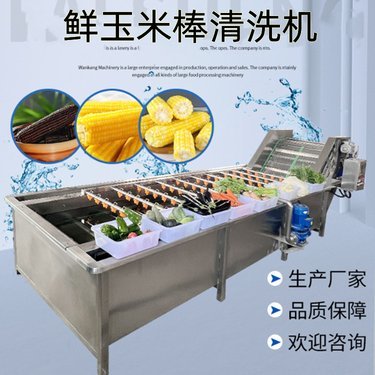 食品工厂水果清洗设备